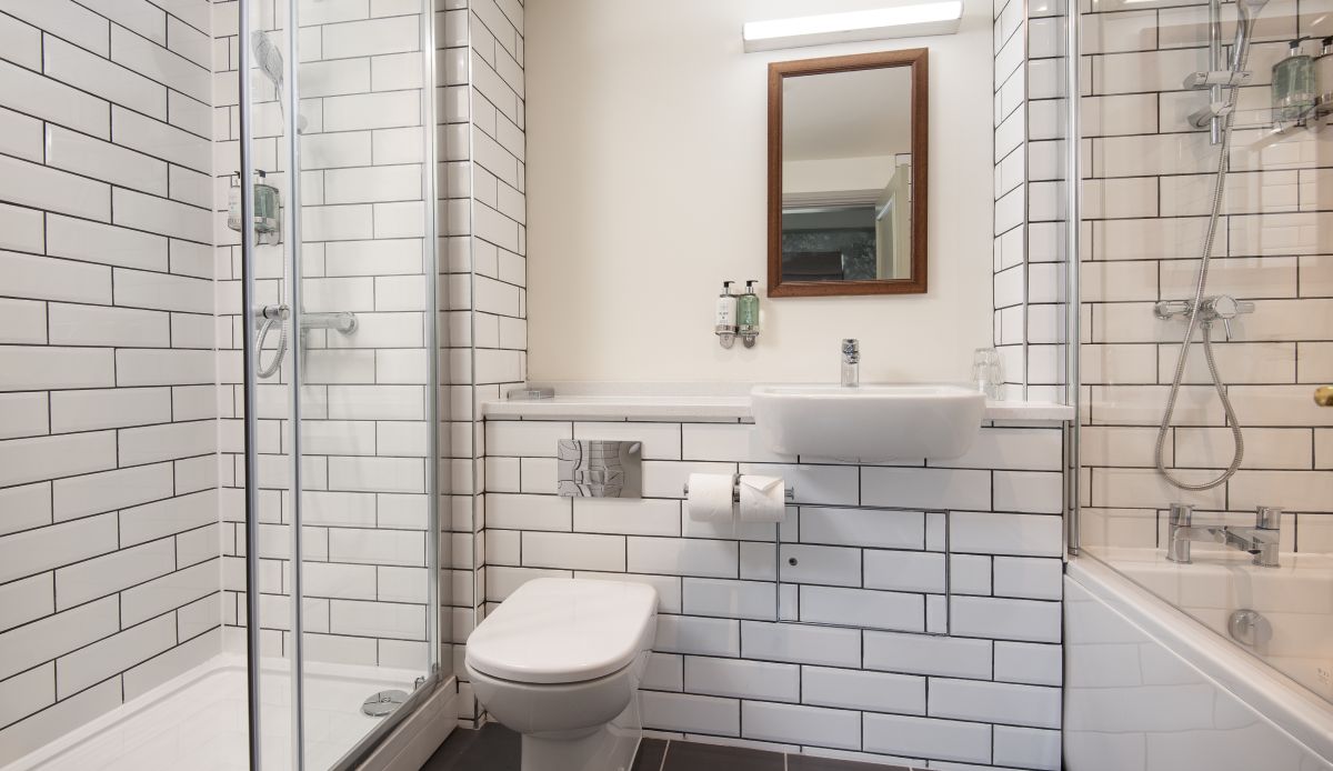 The Swan - Lake District